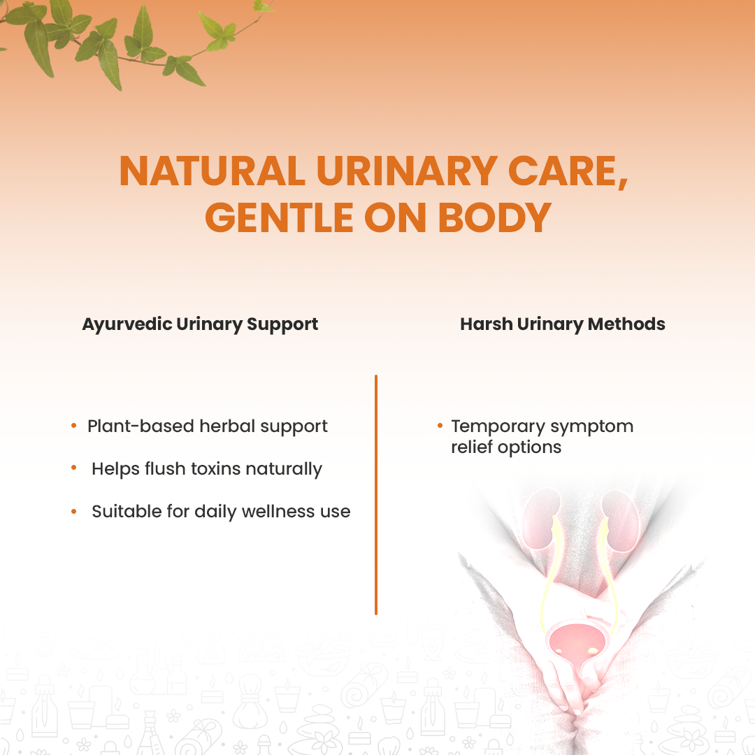 Hrishi Tatva UriCare Capsules – 30 Capsules