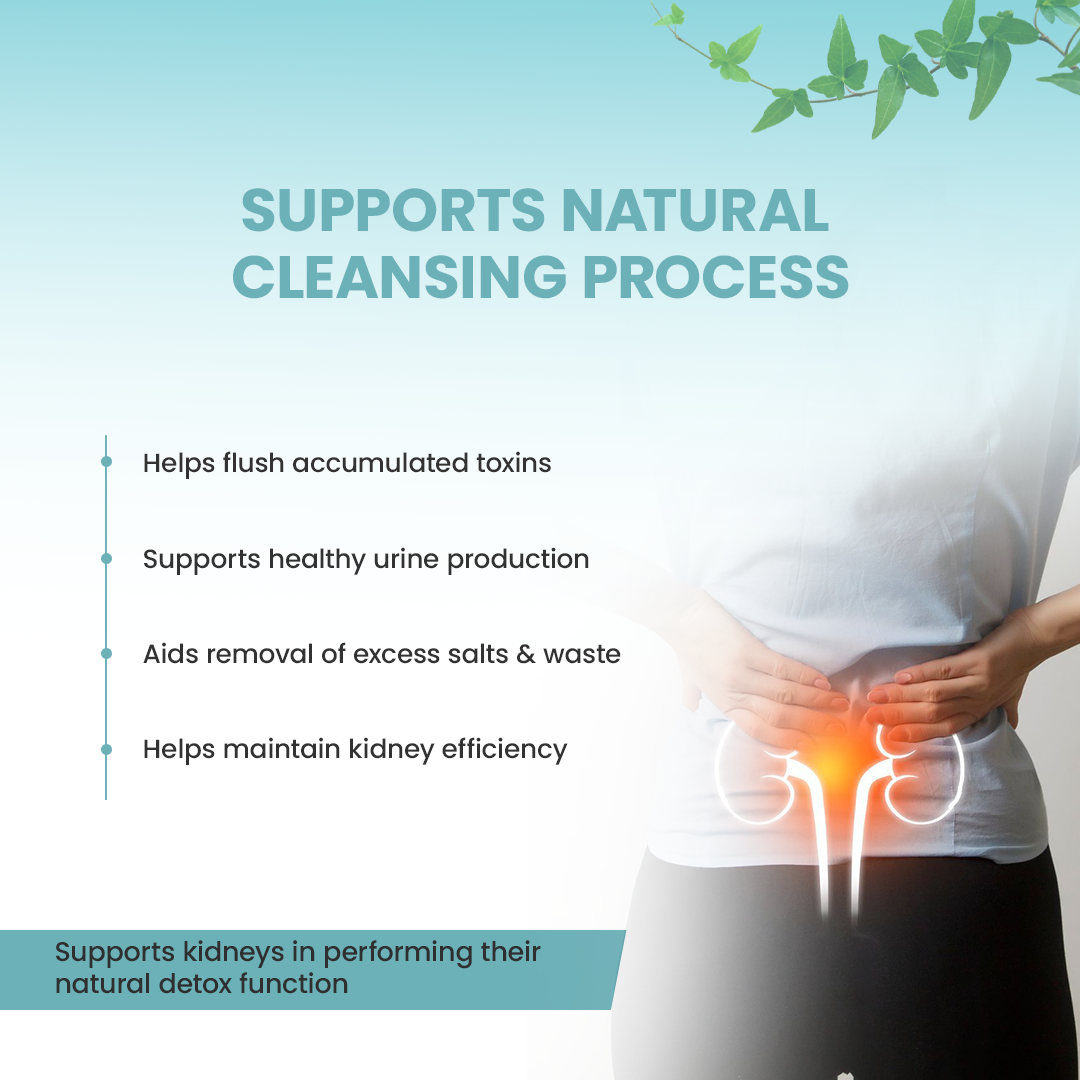 Hrishi Tatva Kidney Detox Capsules – 30 Capsules