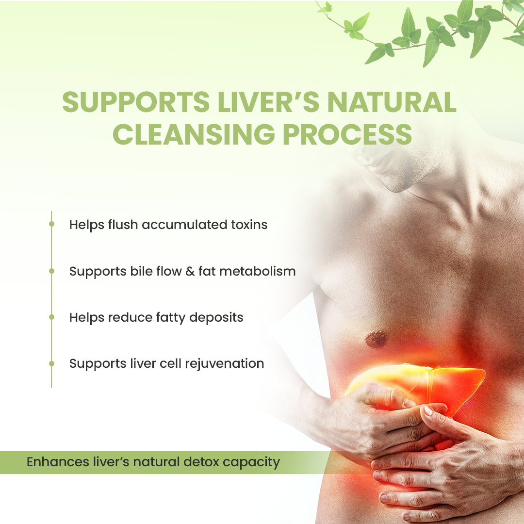 Hrishi Tatva Liver Detox Ayurvedic Capsules – 30