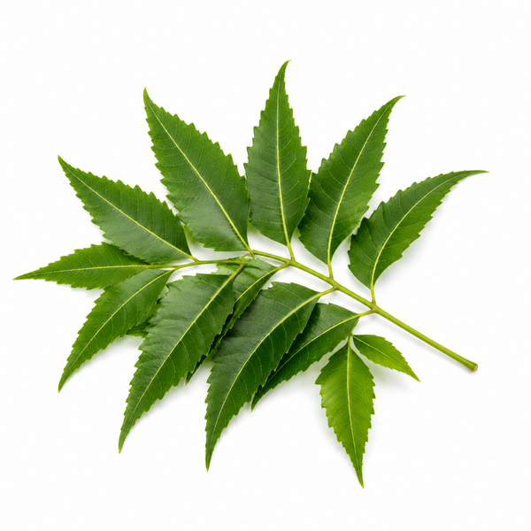 🌿 Neem🌿